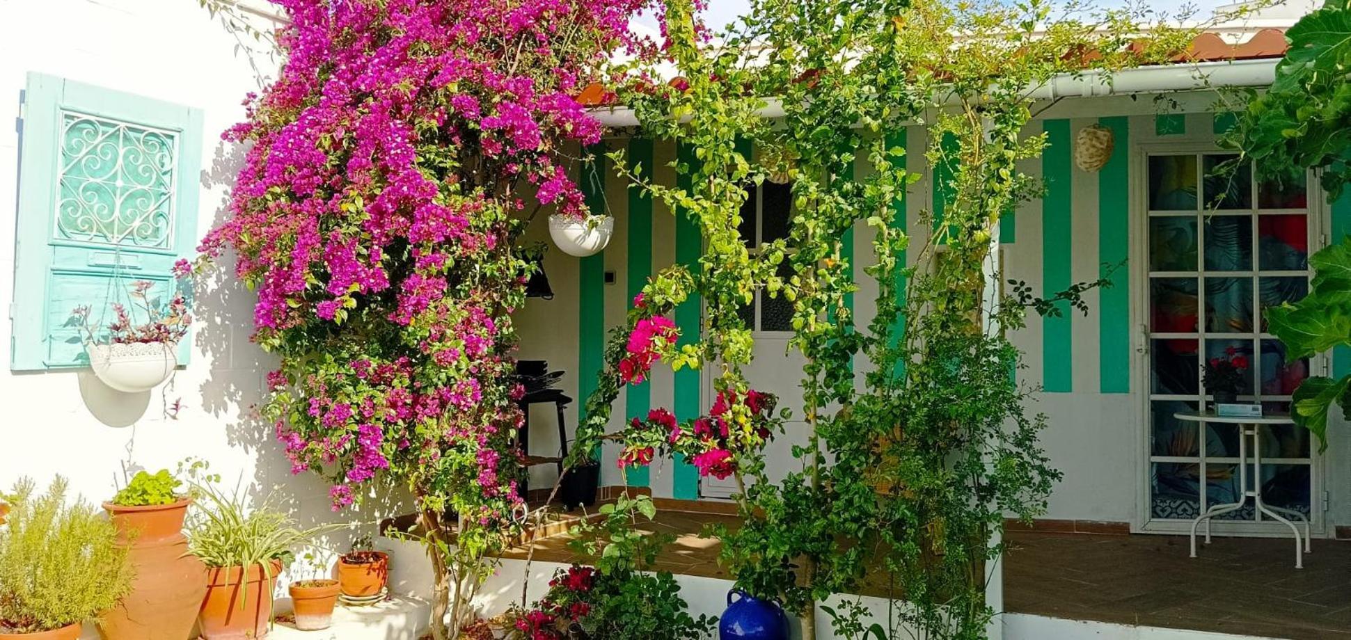 Casa Con Piscina Cerca De Sevilla Carrion de Los Cespedes Bagian luar foto