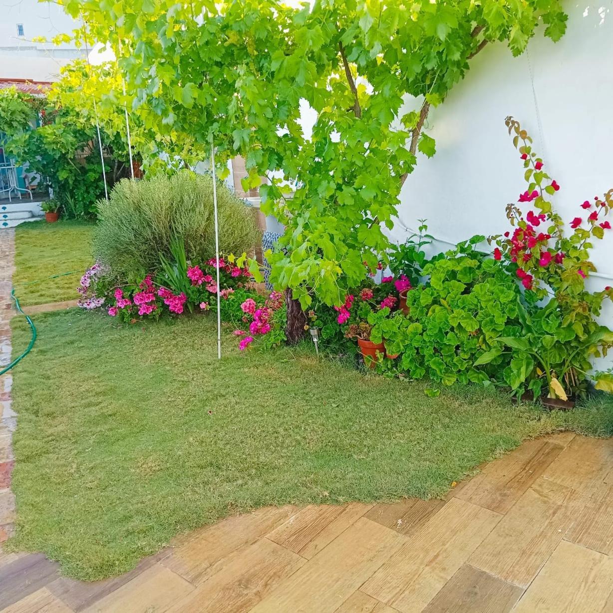 Casa Con Piscina Cerca De Sevilla Carrion de Los Cespedes Bagian luar foto