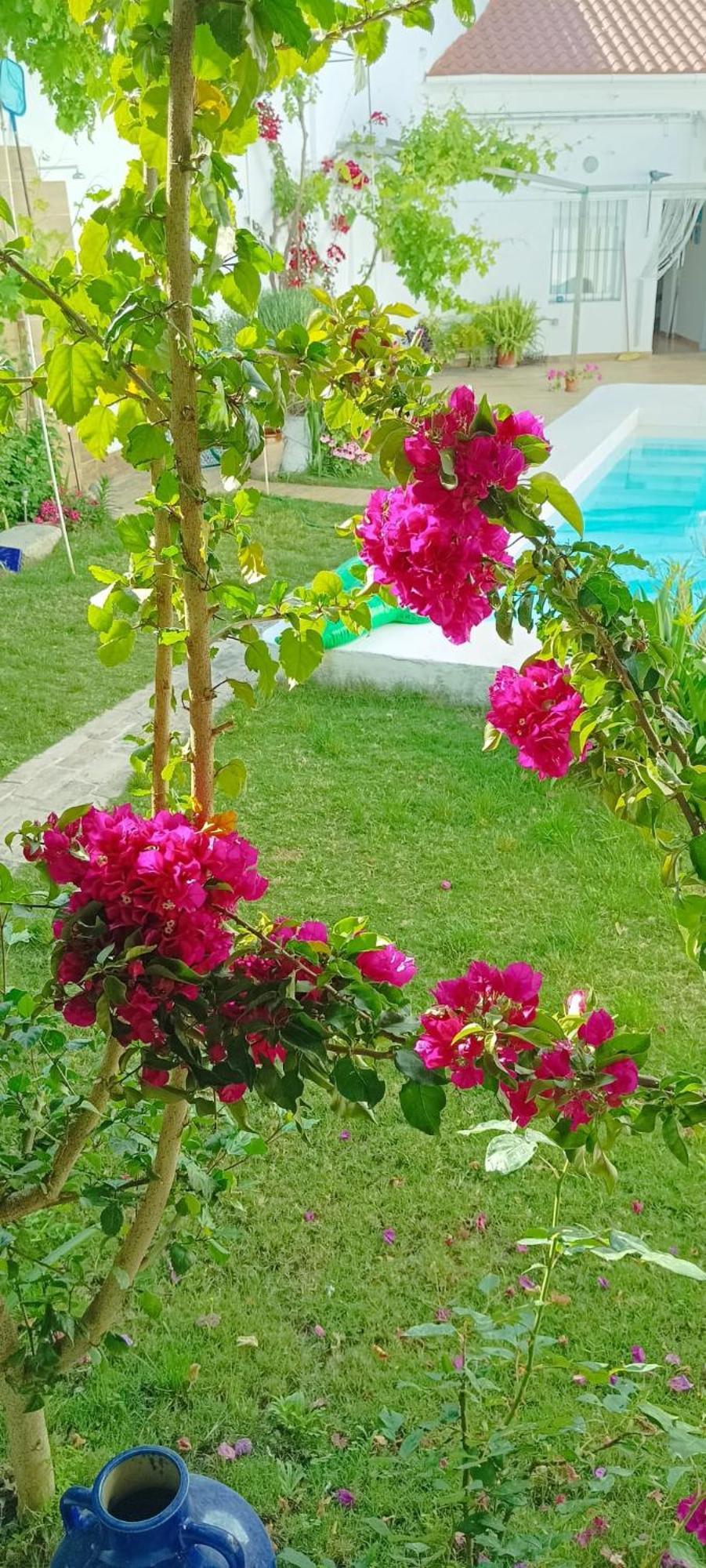 Casa Con Piscina Cerca De Sevilla Carrion de Los Cespedes Bagian luar foto